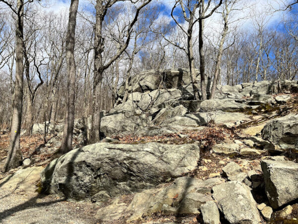 Hike at Tourne County Park (Live Event)